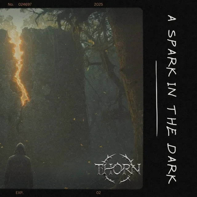 Cover art for A Spark in the Dark by Thorn
